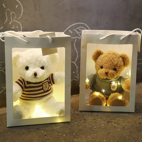 Plush Bear Toy with light and gift bag