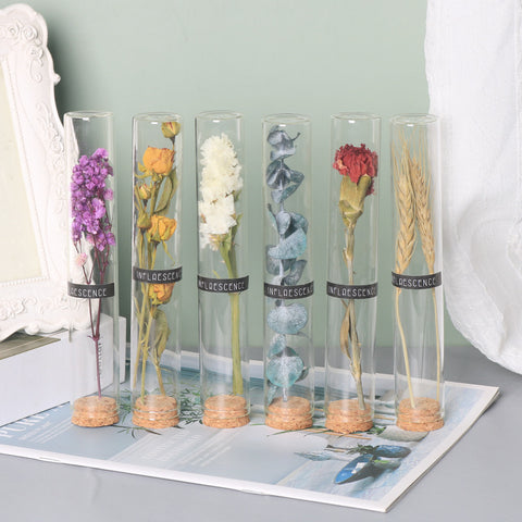 Dry Flower Glass Tube with gift box